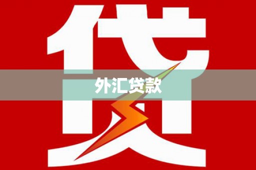 崇义外汇贷款