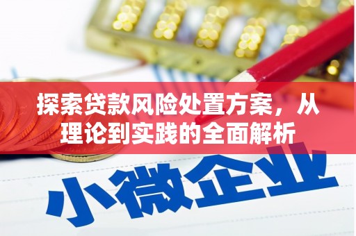 崇义探索贷款风险处置方案，从理论到实践的全面解析