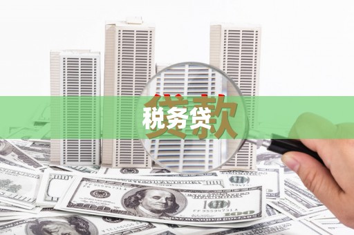 崇义税务贷