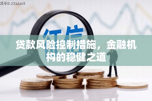 崇义贷款风险控制措施，金融机构的稳健之道
