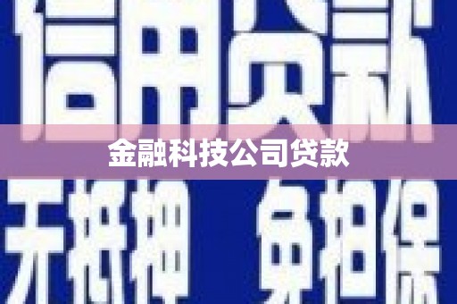 崇义金融科技公司贷款