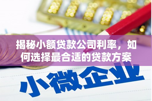 崇义揭秘小额贷款公司利率，如何选择最合适的贷款方案