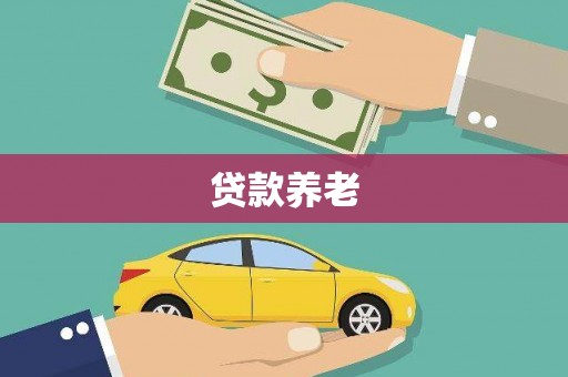 崇义贷款养老