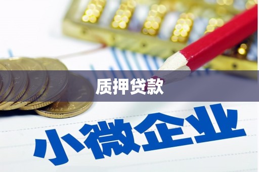 崇义质押贷款