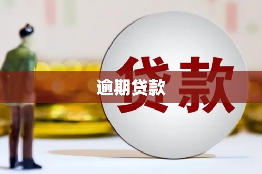 崇义逾期贷款
